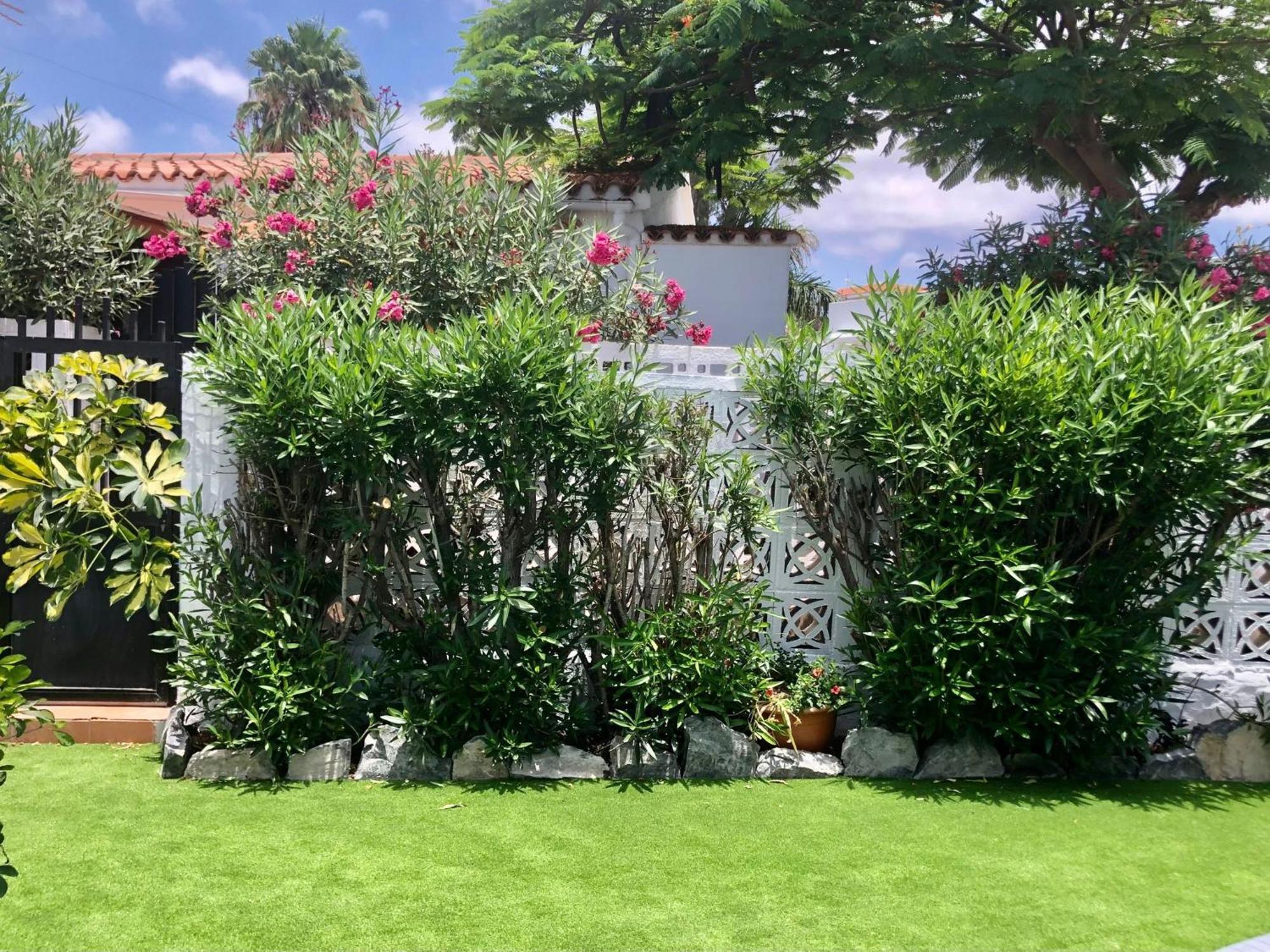Santa Clara Bungalows マスパロマス エクステリア 写真